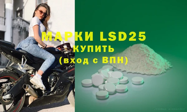 шишки Баксан